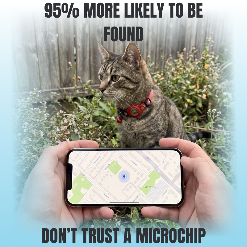WagWells Tracking Collar