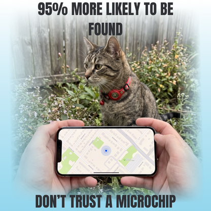 WagWells Tracking Collar